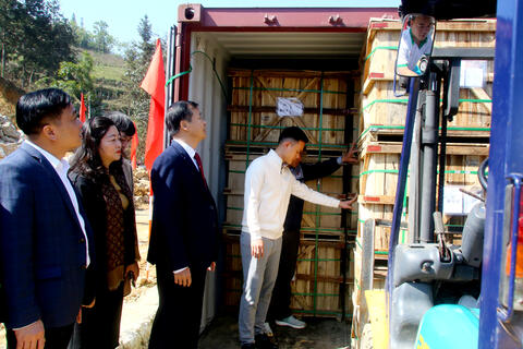 Hai container chở 36 tấn củ cải muối Xín Mần “khai Xuân” xuất khẩu sang Nhật Bản