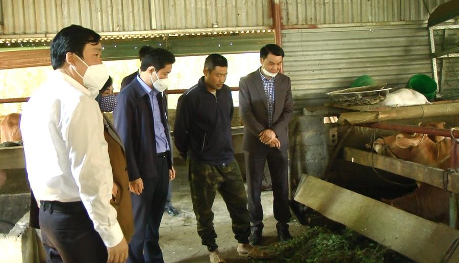 Trưởng Ban Tuyên giáo Tỉnh ủy Vũ Mạnh Hà thăm mô hình chăn nuôi gia súc gắn với chỉnh trang chuồng trại tại thôn Đầu Cầu II, xã Cán Tỷ.