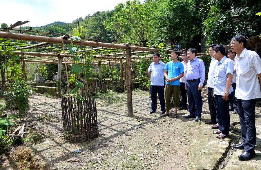 Phó Bí thư Tỉnh ủy Nguyễn Mạnh Dũng thăm mô hình cải tạo vườn tạp tại thị trấn Yên Minh
