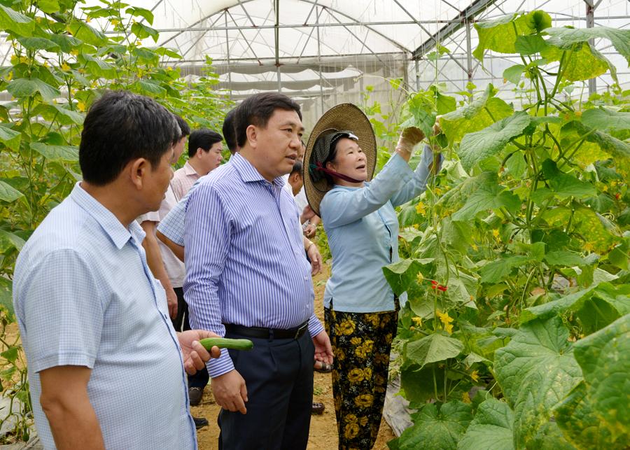 Phó Bí thư Tỉnh ủy Nguyễn Mạnh Dũng tham quan mô hình kinh tế của người dân thị trấn Yên Minh.
