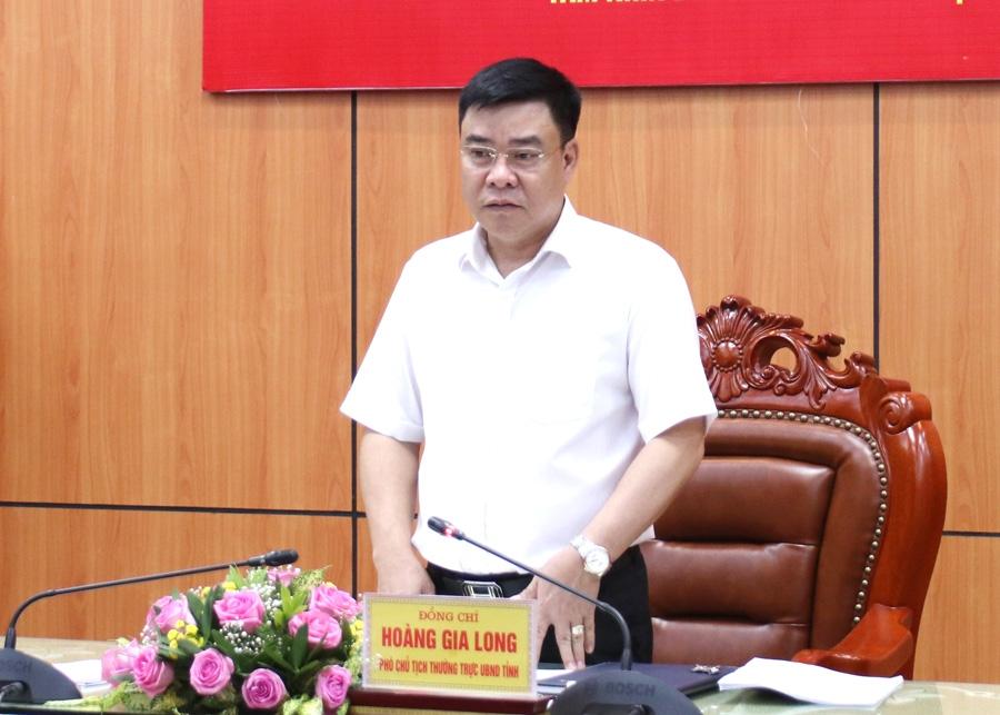 Phó Chủ tịch Thường trực UBND tỉnh Hoàng Gia Long phát biểu kết luận hội nghị.