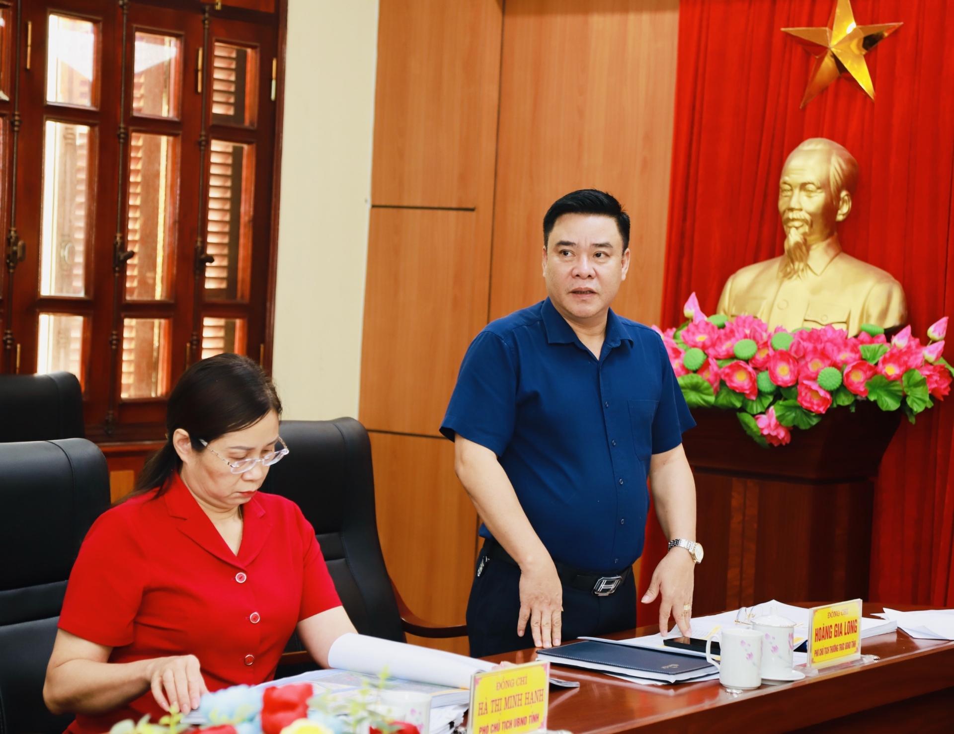 Phó Chủ tịch Thường trực UBND tỉnh Hoàng Gia Long tham gia ý kiến tại cuộc họp