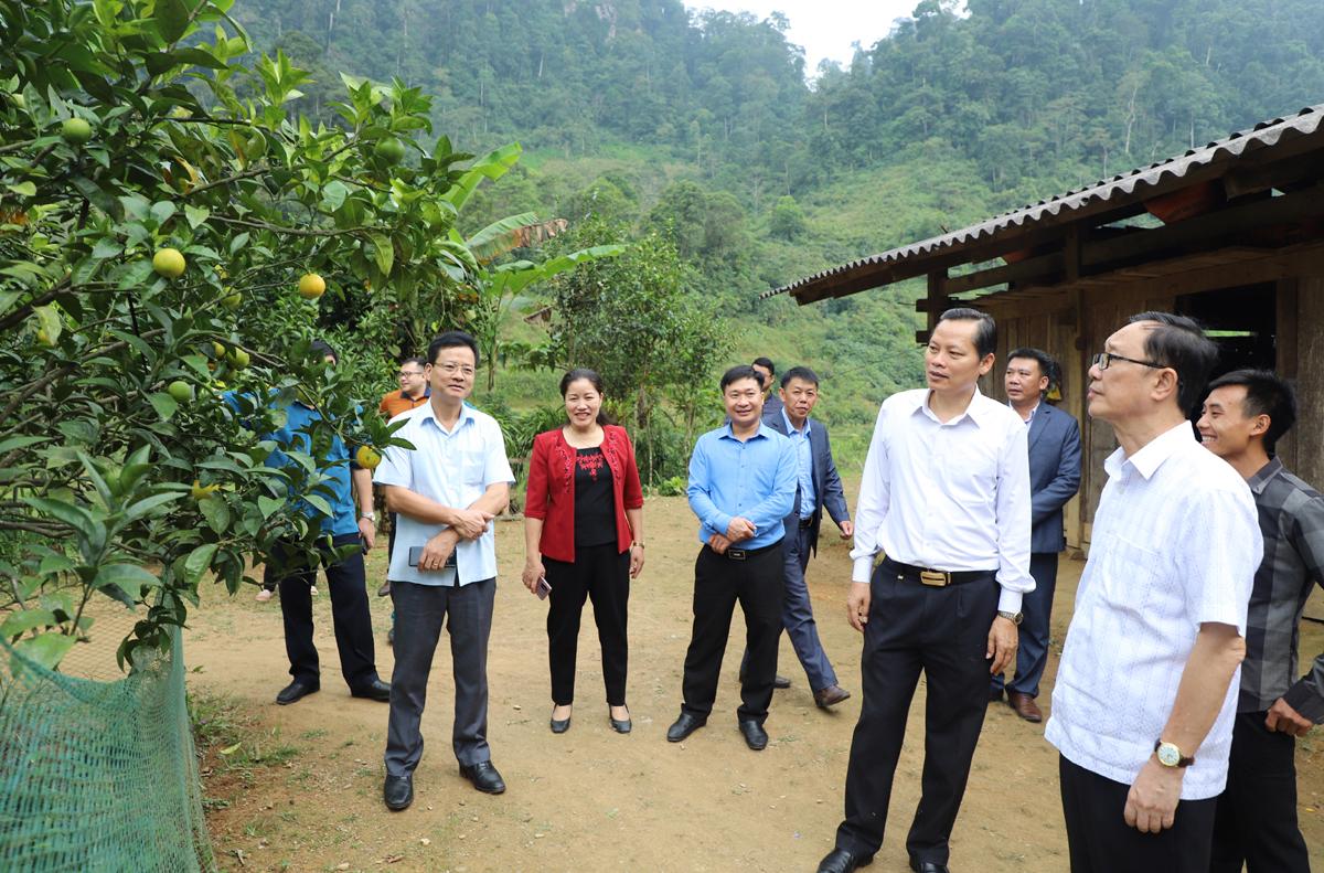Đồng chí Thào Hồng Sơn cùng các đồng chí trong đoàn công tác thăm hộ cải tạo vườn tạp Mã Văn Chầu, thôn Phiêng Luông.