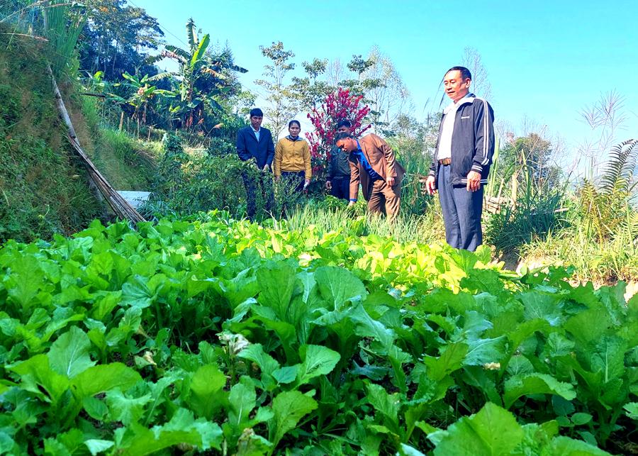Gia đình chị Vàng Thị Dương, thôn Tân Tiến 1 cải tạo vườn tạp theo Nghị quyết 05 của tỉnh.