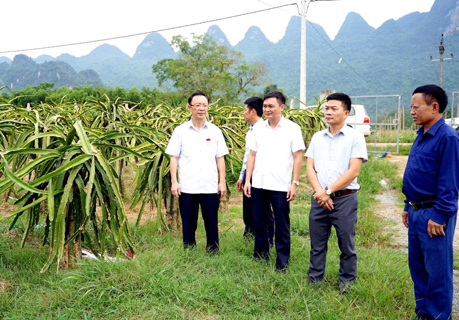 Phó Bí thư Thường trực Tỉnh ủy, Chủ tịch HĐND tỉnh Thào Hồng Sơn kiểm tra một số mô hình phát triển kinh tế tại xã Phong Quang (Vị Xuyên).        Ảnh: PHI ANH