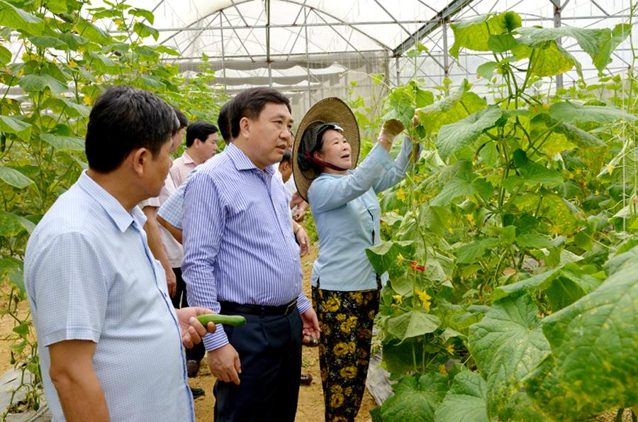 Phó Bí thư Tỉnh ủy Nguyễn Mạnh Dũng tham quan mô hình phát triển kinh tế thị trấn Yên Minh.                                                                   Ảnh: VN