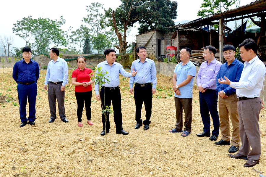 Phó Bí thư Tỉnh ủy Nguyễn Mạnh Dũng thăm mô hình cải tạo vườn tạp thôn Nà Trang, thị trấn Tam Sơn (Quản Bạ).             Ảnh: VĂN NGHỊ