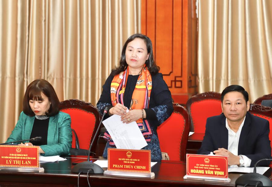 Đại biểu Phạm Thúy Chinh, Phó Chủ nhiệm Ủy ban Tài chính - Ngân sách Quốc hội phát biểu tham gia ý kiến.