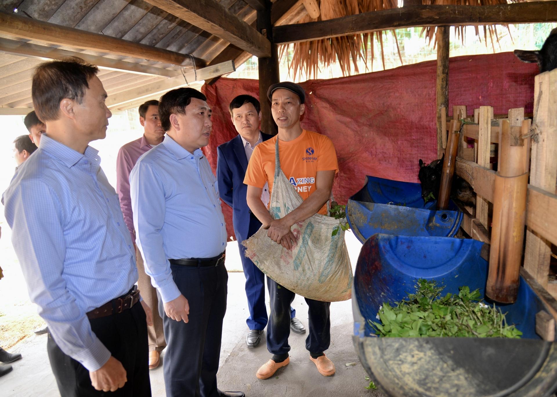 Phó Bí thư Tỉnh ủy Nguyễn Mạnh Dũng thăm mô hình nuôi dê vỗ béo của gia đình anh Nông Văn Thánh, thôn Hạ Quang, xã Vĩ Thượng