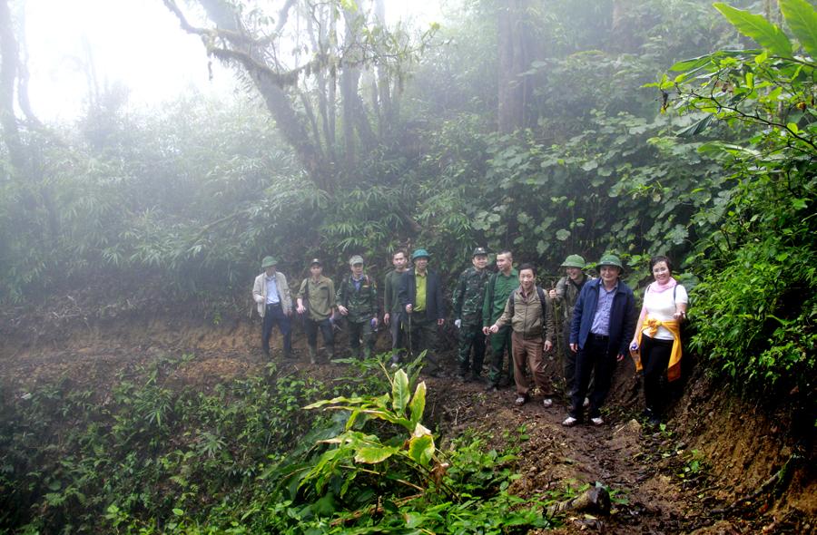 Đoàn chinh phục đỉnh Tây Côn Lĩnh bằng hành trình đi bộ khám phá rừng nguyên sinh với thảm thực vật phong phú.