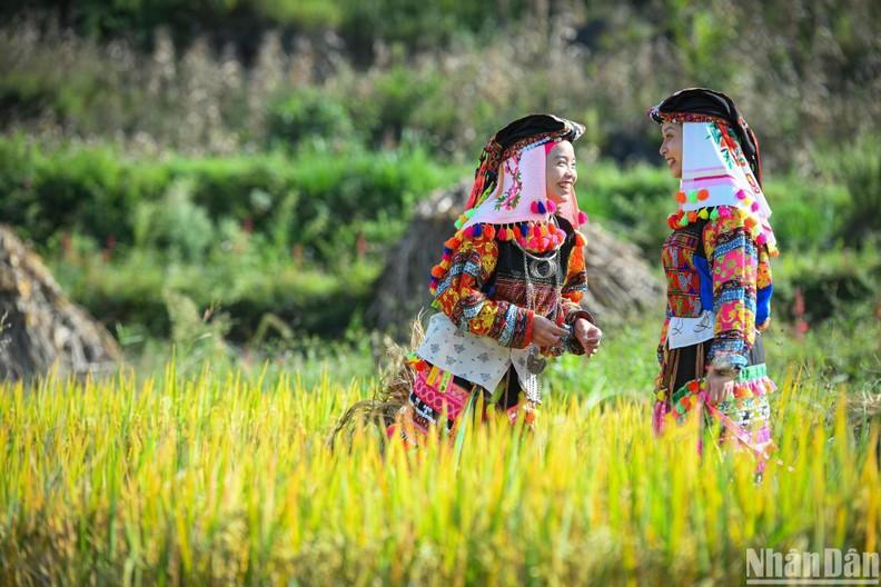 Colourful beauty of Lo Lo ethnic costumes  ảnh 2