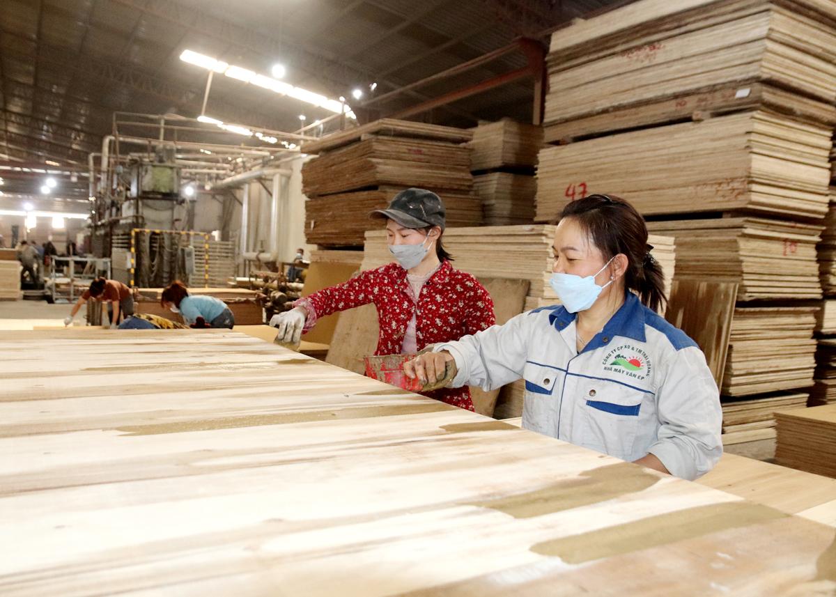 Sản xuất ván ép xuất khẩu tại Công ty Cổ phần Xây dựng và Thương mại Thái Hoàng (Bắc Quang) tạo việc làm cho nhiều lao động địa phương.