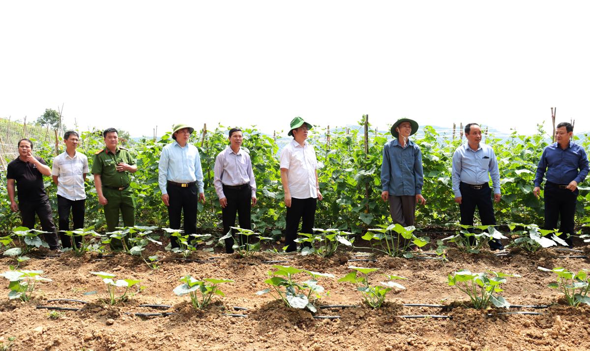 Đồng chí Trần Mạnh Lợi thăm mô hình cải tạo vườn tạp của hộ ông Phan Văn Chím, thôn Nà Trào.