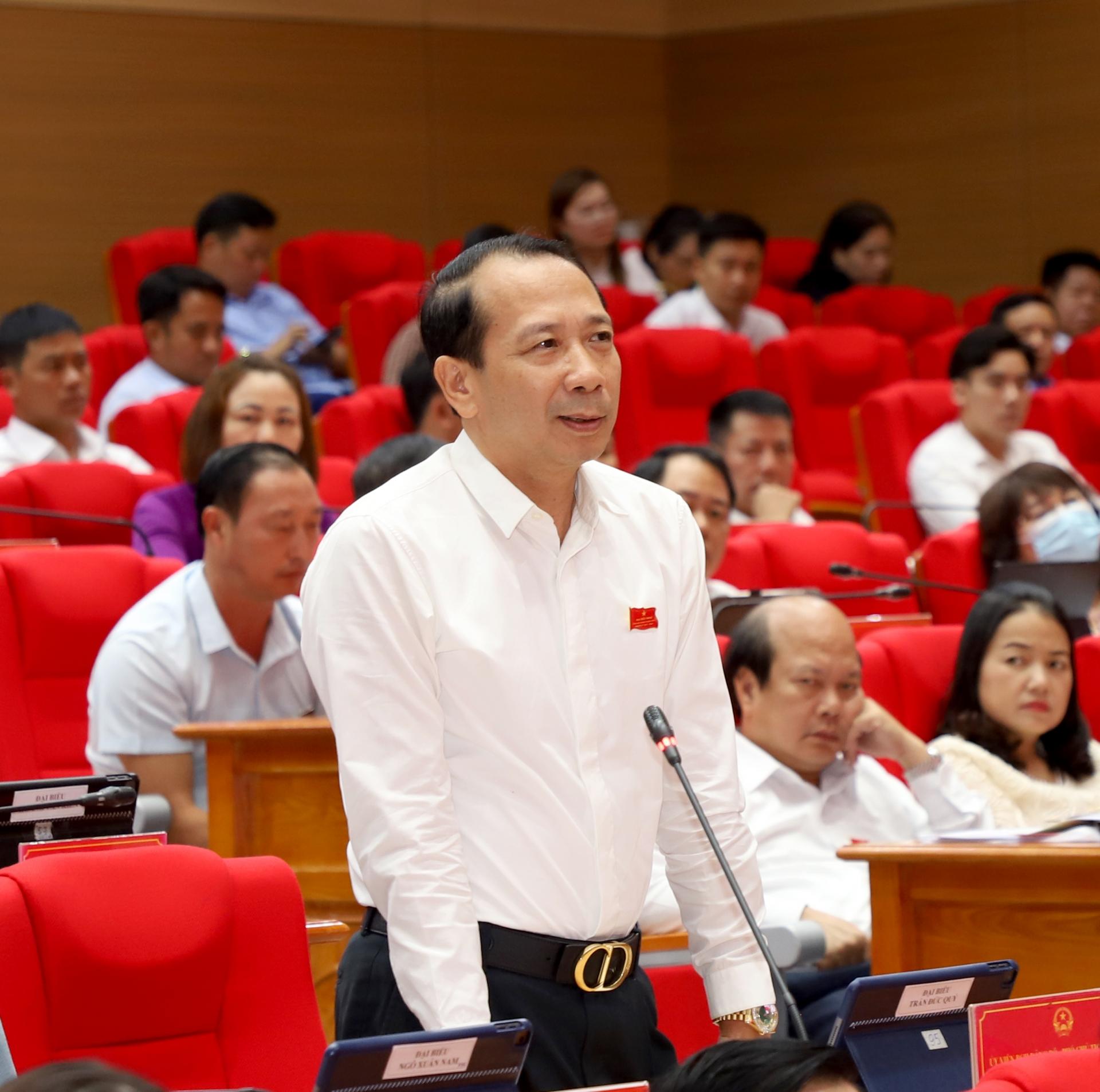 Phó Chủ tịch UBND tỉnh Trần Đức Quý làm rõ một số nội dung đại biểu quan tâm.