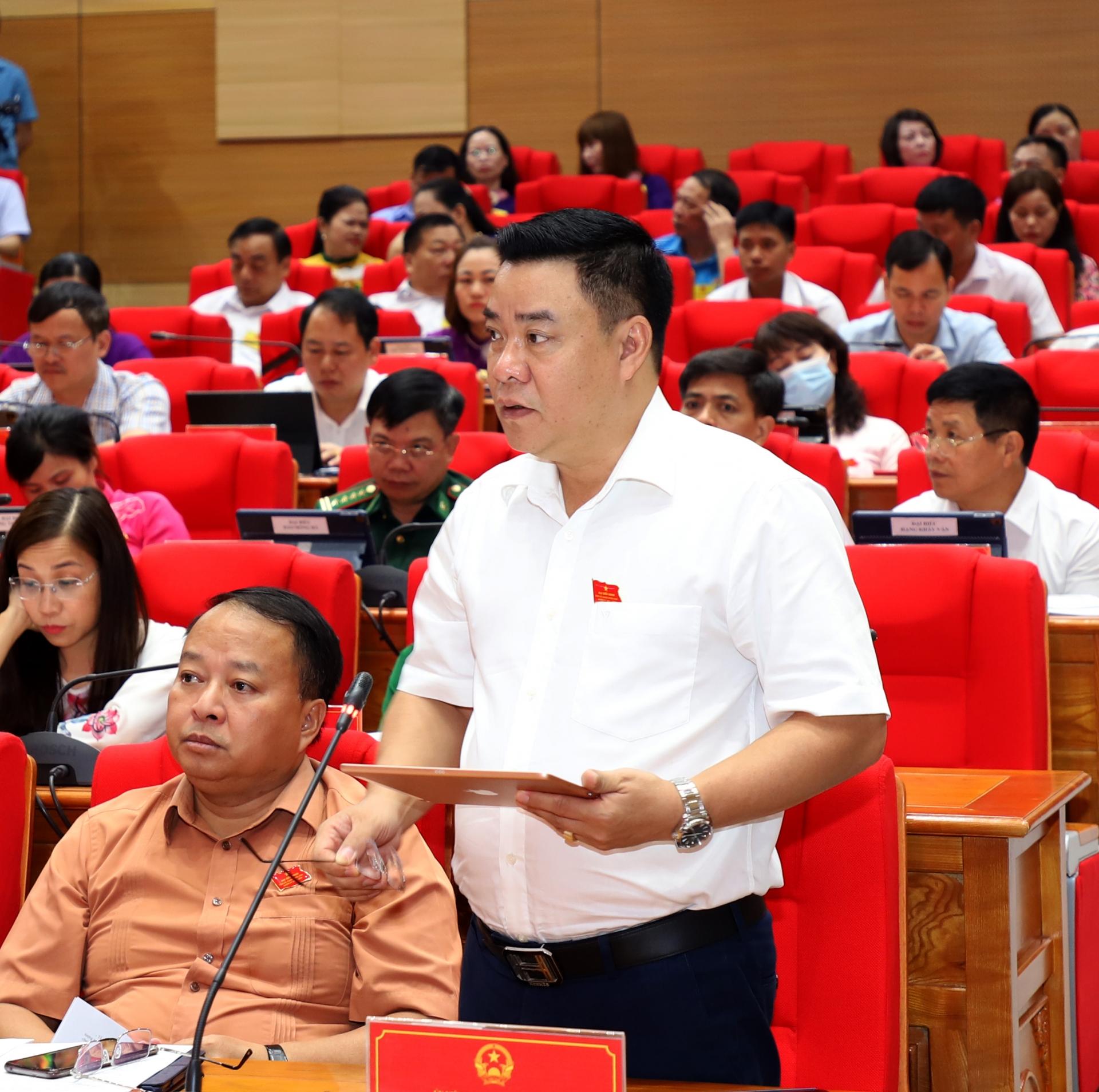 Đại biểu Hoàng Gia Long, Phó Chủ tịch Thường trực UBND tỉnh làm rõ một số nội dung đại biểu quan tâm.