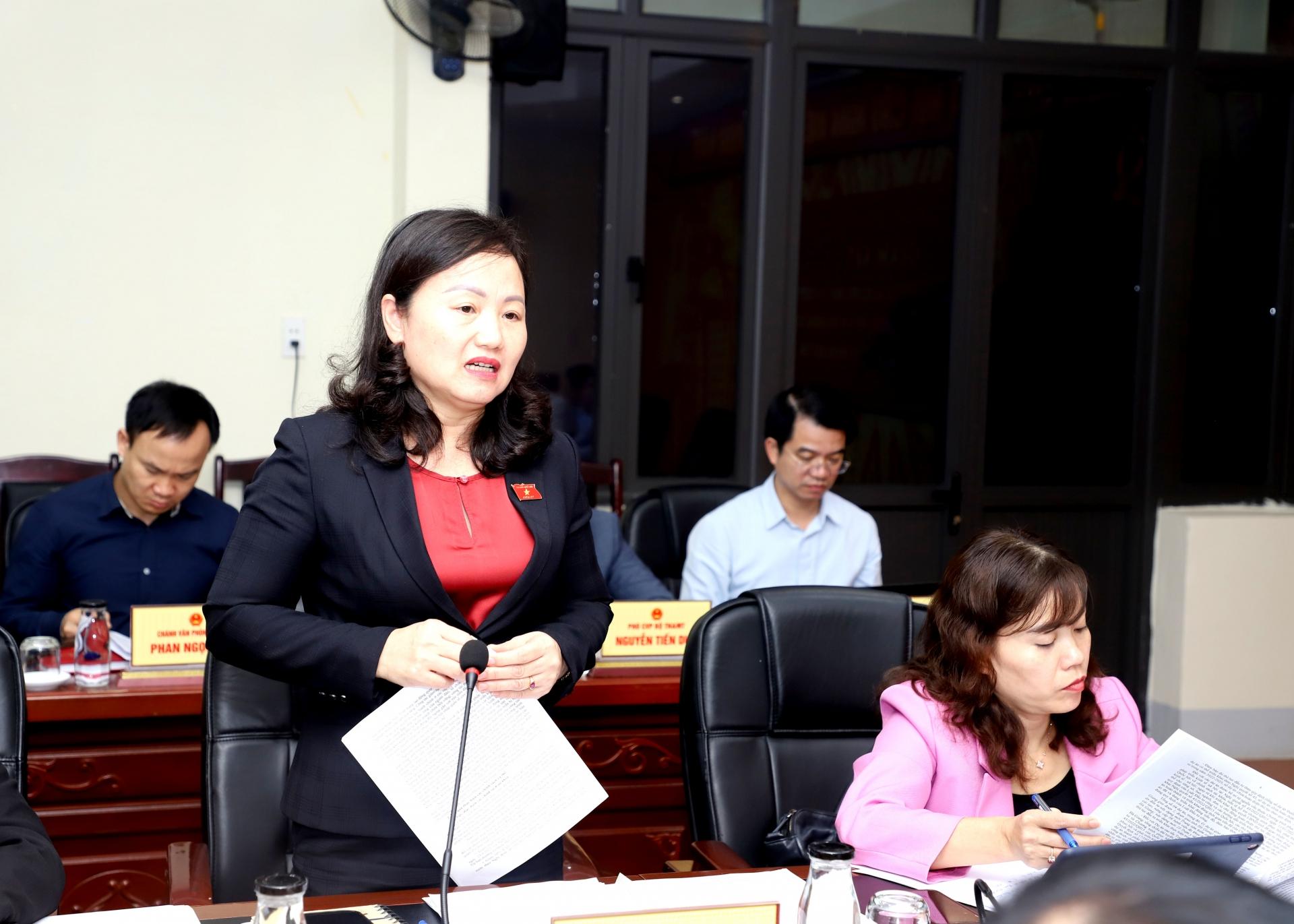 Đại biểu Phạm Thúy Chinh kiến nghị làm rõ một số số liệu trong báo cáo thực hiện Nghị quyết số 43
