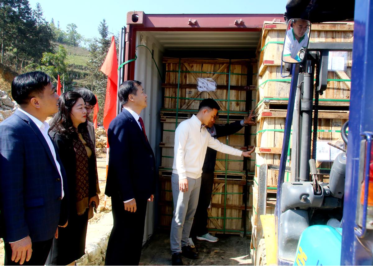 Lãnh đạo huyện Xín Mần và Công ty TNHH Vietnam Misaki chứng kiến củ cải muối được sắp xếp lên container.