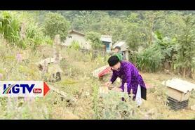Đồng Văn rộn ràng mùa mật ong hoa bạc hà - Ngày 12/9/2024