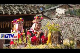 Đồng Văn Sắc xuân khi miền đá nở hoa - Ngày 01/3/2025