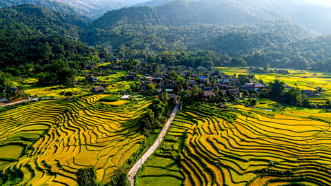 Mùa lúa chín tại thôn Hạ Thành, xã Phương Độ, thành phố Hà Giang