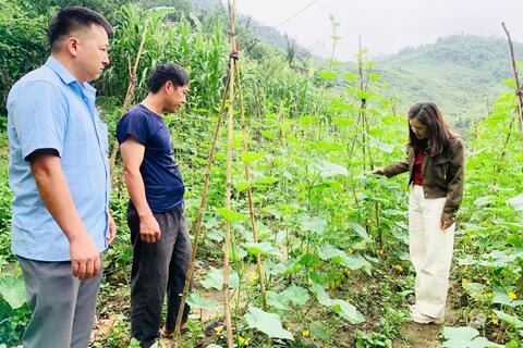 <a href="/tin-tuc-su-kien/cong-tac-dan-van" title="Dân vận, Dân tộc, Tôn giáo" rel="dofollow">Dân vận, Dân tộc và Tôn giáo</a>