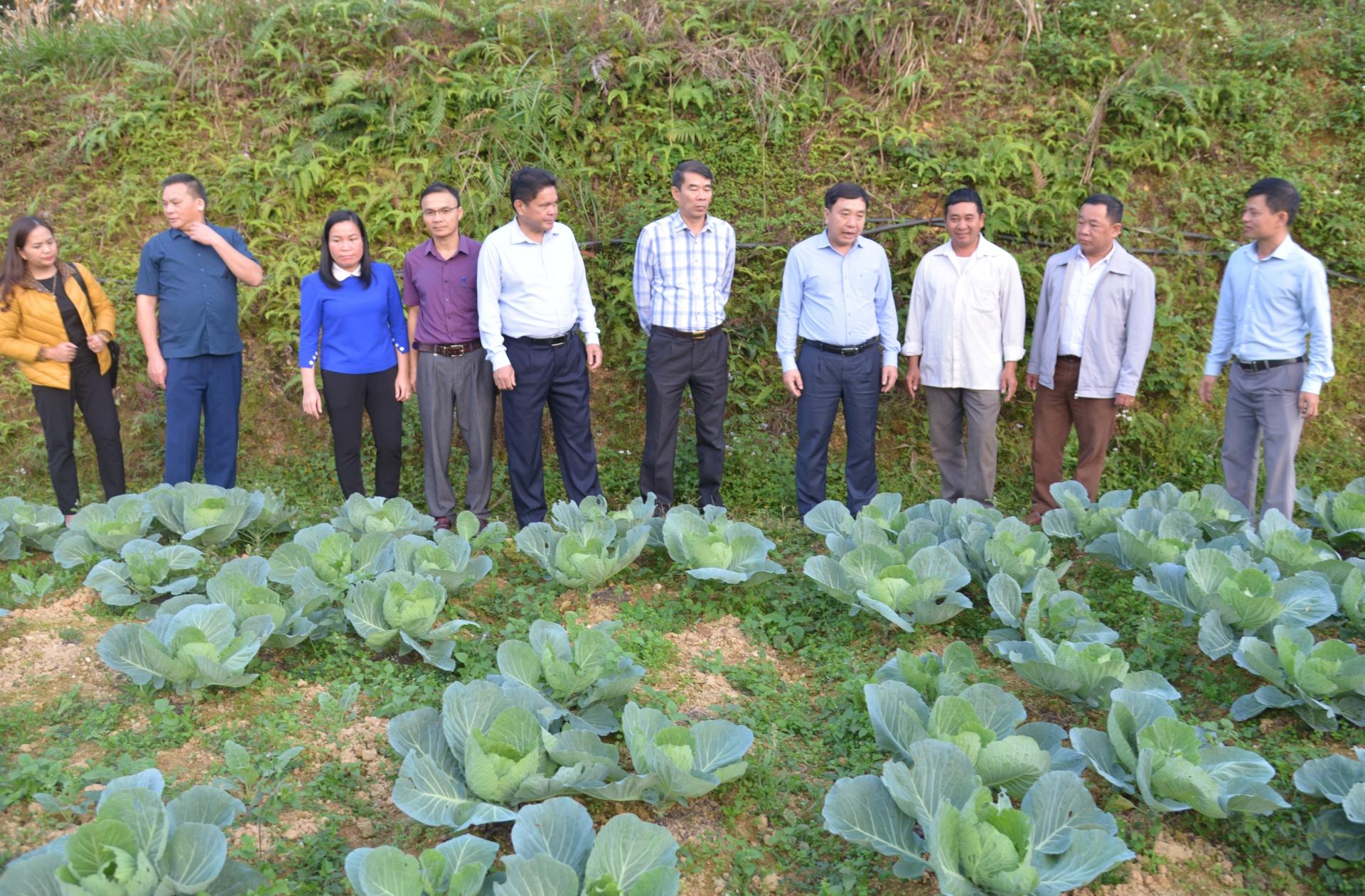 Phó Bí thư Tỉnh ủy Nguyễn Mạnh Dũng thăm hộ thực hiện cải tạo vườn tạp tại xã Đông Minh.
