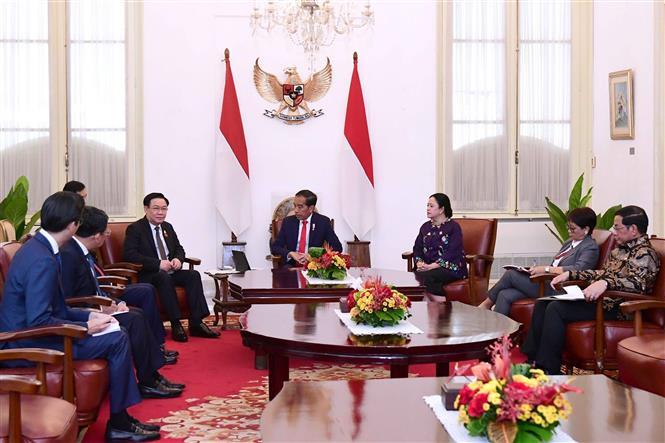 Chủ tịch Quốc hội Vương Đình Huệ hội kiến Tổng thống Indonesia Joko Widodo. Ảnh: TTXVN