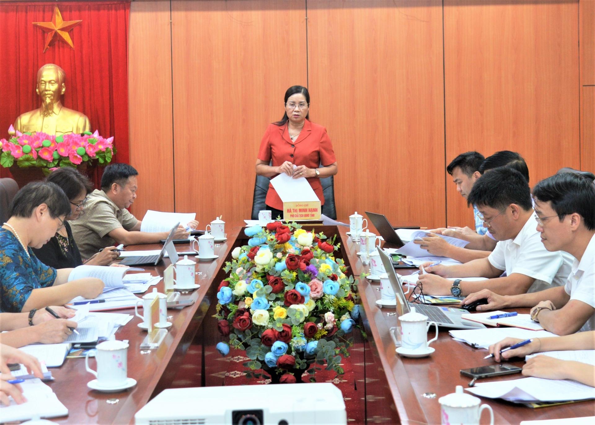 Phó Chủ tịch UBND tỉnh Hà Thị Minh Hạnh phát biểu tại cuộc họp