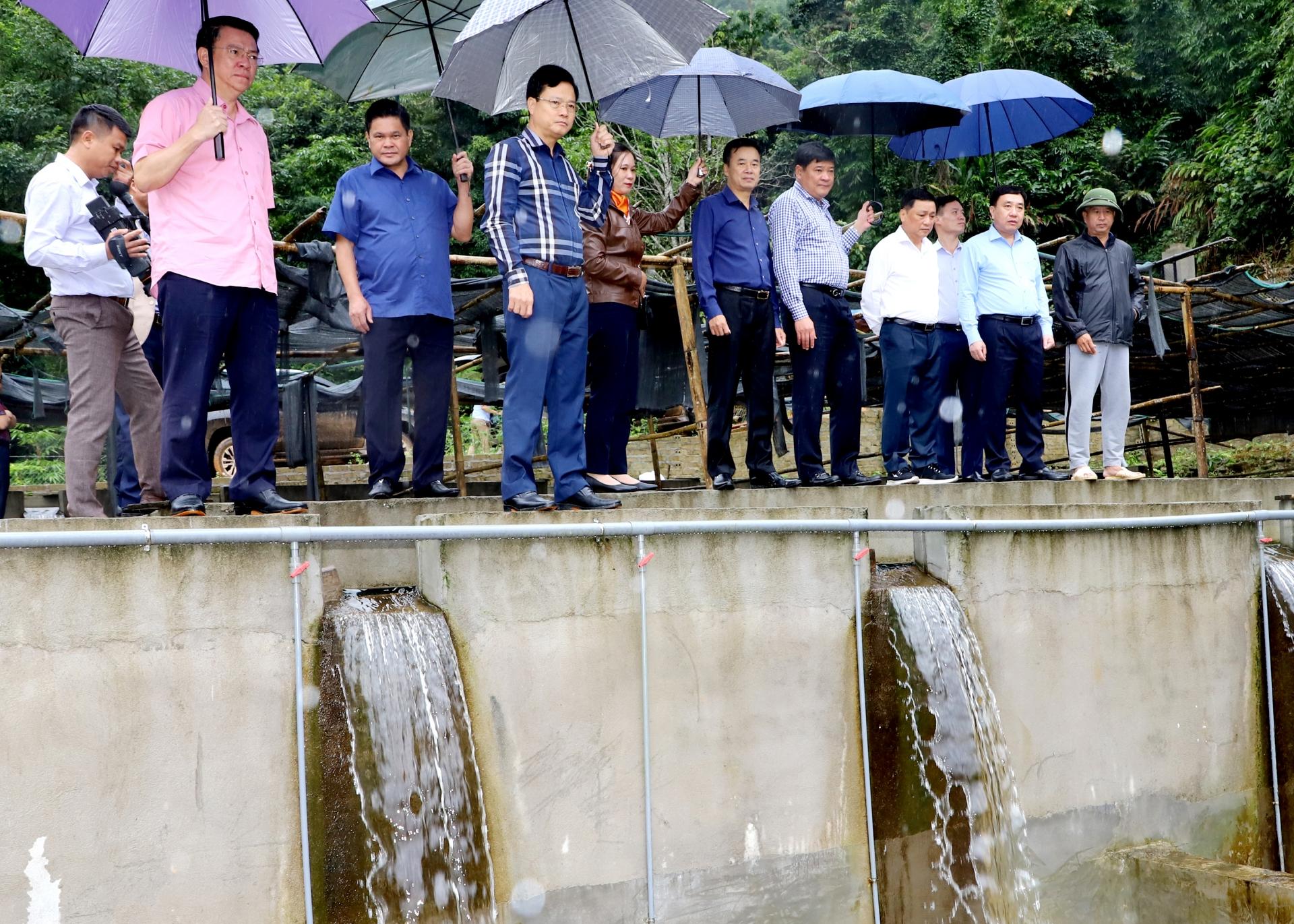 Quyền Bí thư Tỉnh ủy Nguyễn Mạnh Dũng thăm mô hình nuôi cá tầm tại thôn Ngam Lâm, xã Nấm Dẩn.