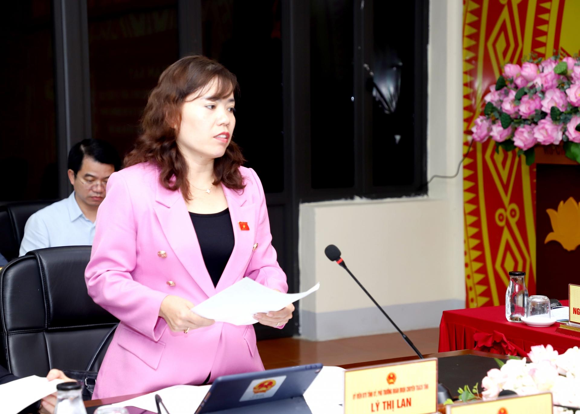 Phó trưởng đoàn chuyên trách Đoàn ĐBQH khóa XV đơn vị tỉnh Hà Giang Lý Thị Lan tham gia ý kiến tại buổi giám sát