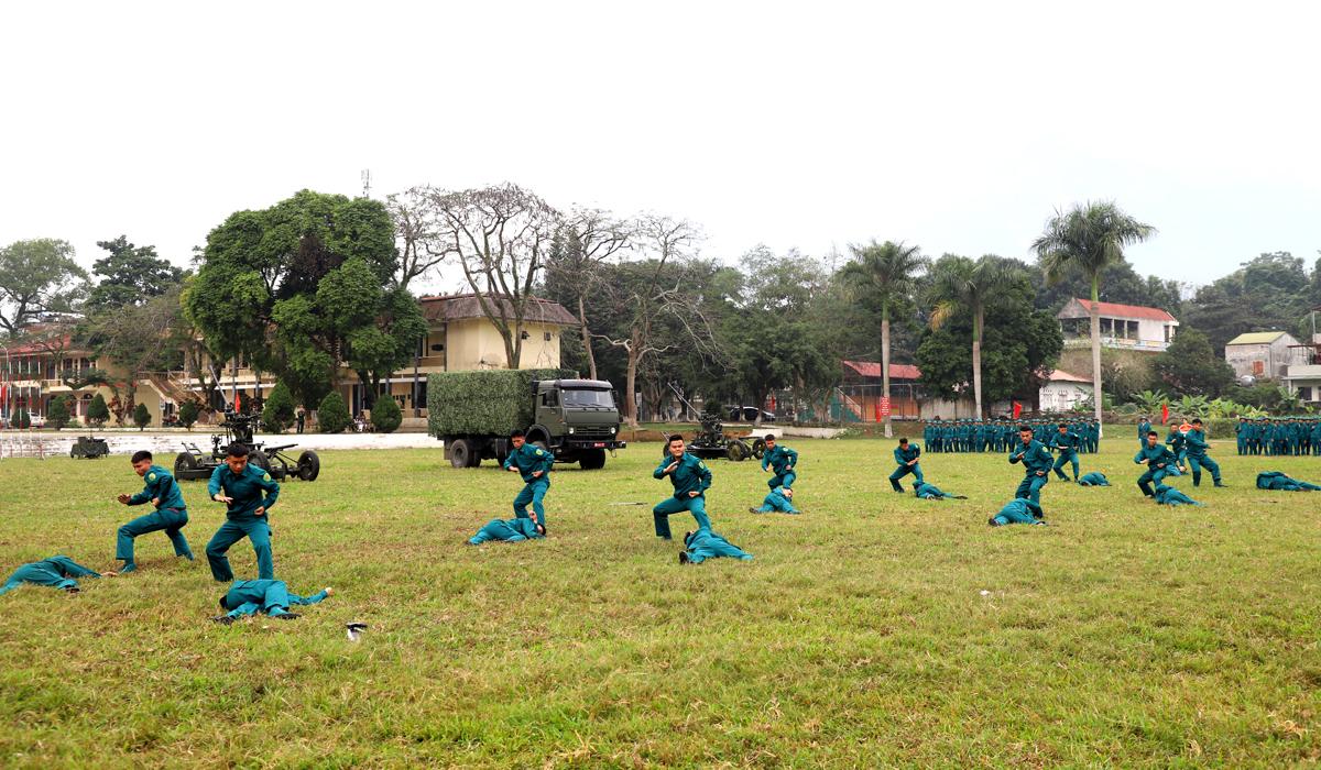 Lực lượng Dân quân tự vệ biểu diễn võ thuật.